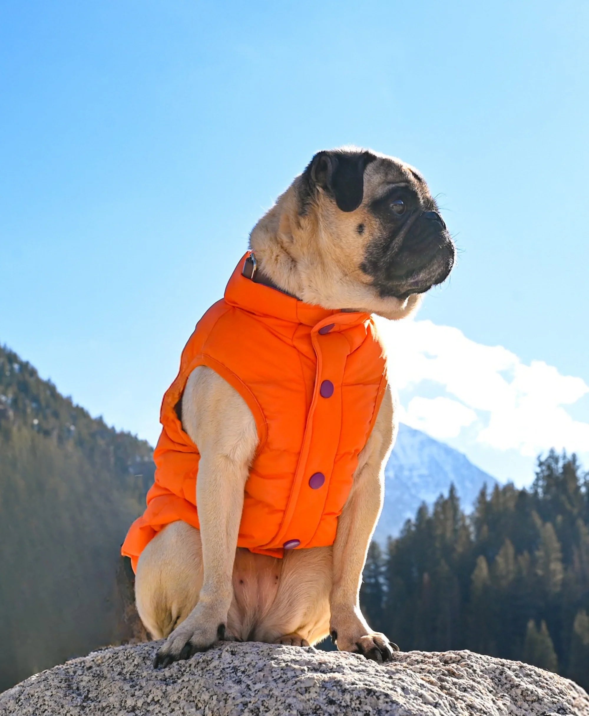 ORORO Heated Snøwoof 3-Zone Heated Dog Puffer Vest - Image 39
