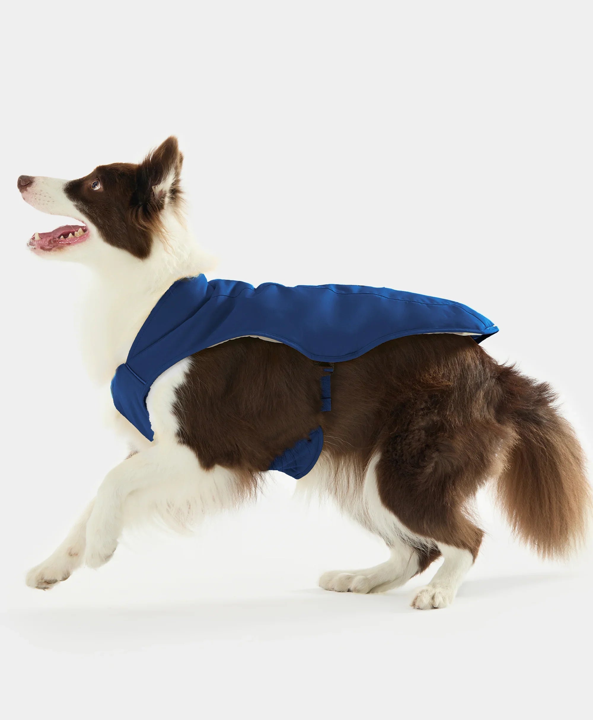 ORORO Heated (Open-box) Koldpwoof Heated Dog Vest (Battery Set Not Included) - Image 15