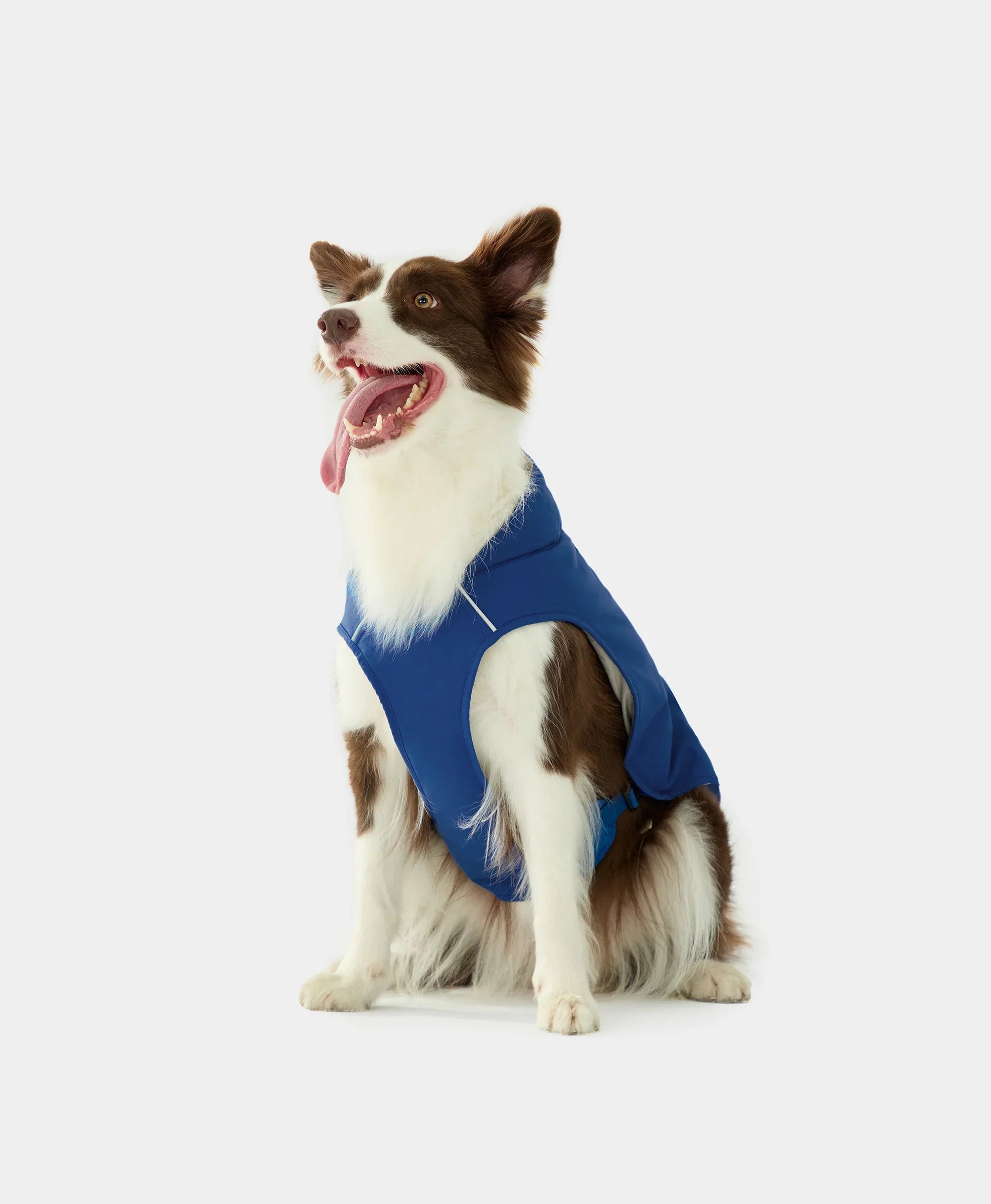 ORORO Heated (Open-box) Koldpwoof Heated Dog Vest (Battery Set Not Included) - Image 18