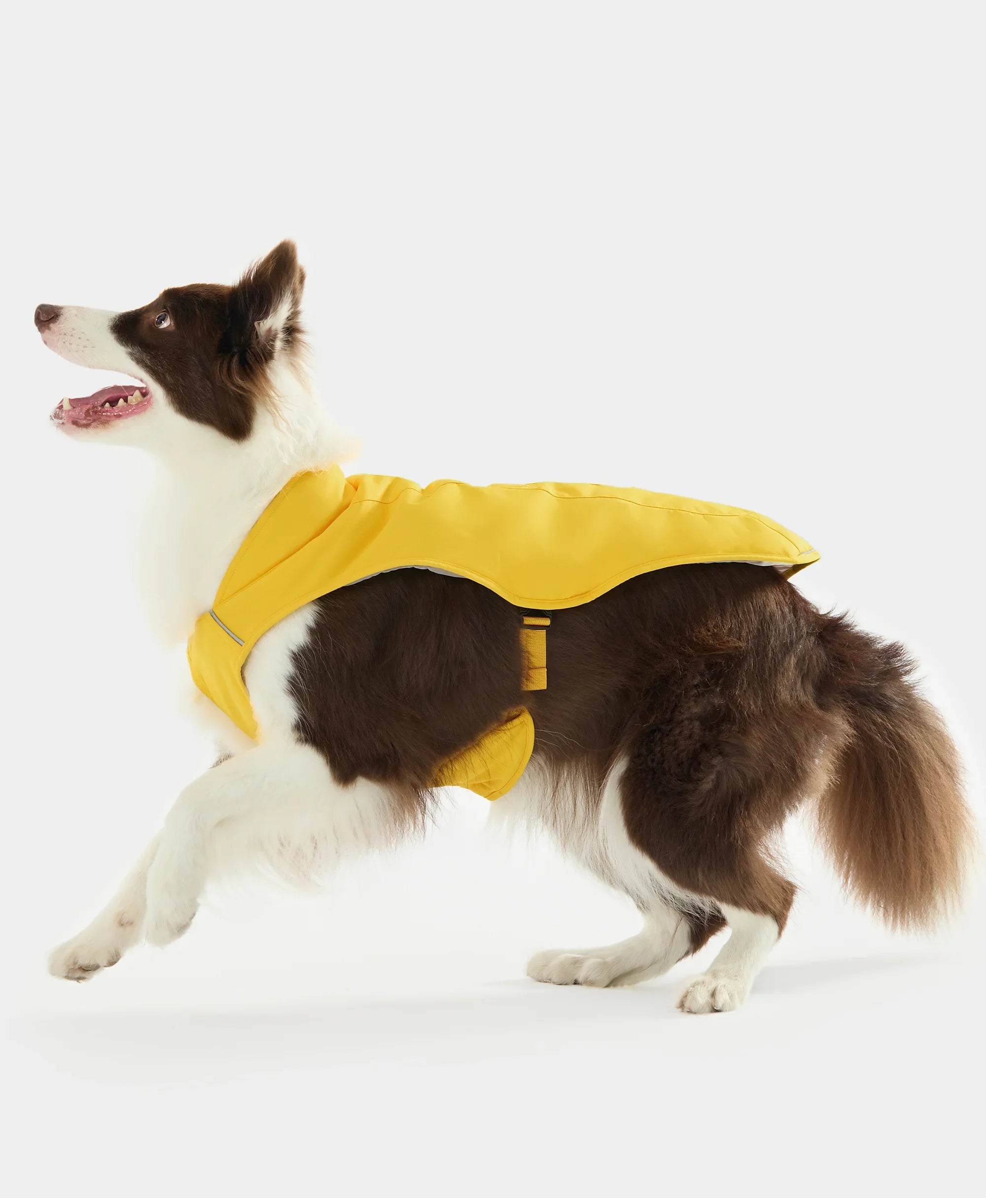 ORORO Heated (Open-box) Koldpwoof Heated Dog Vest (Battery Set Not Included) - Image 7